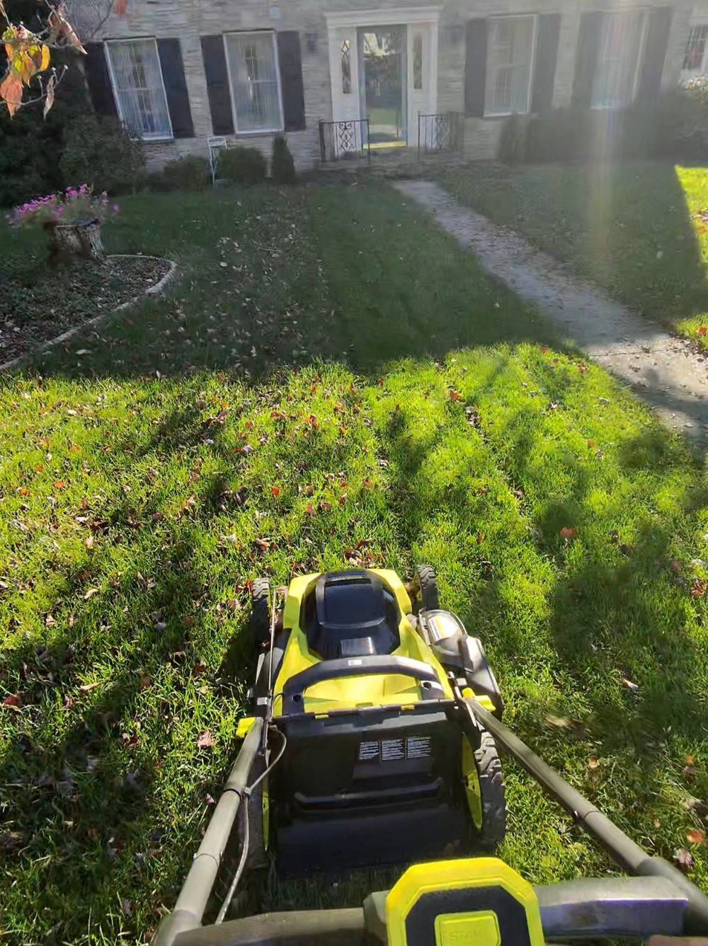 Push-mowing stripes into a front lawn
