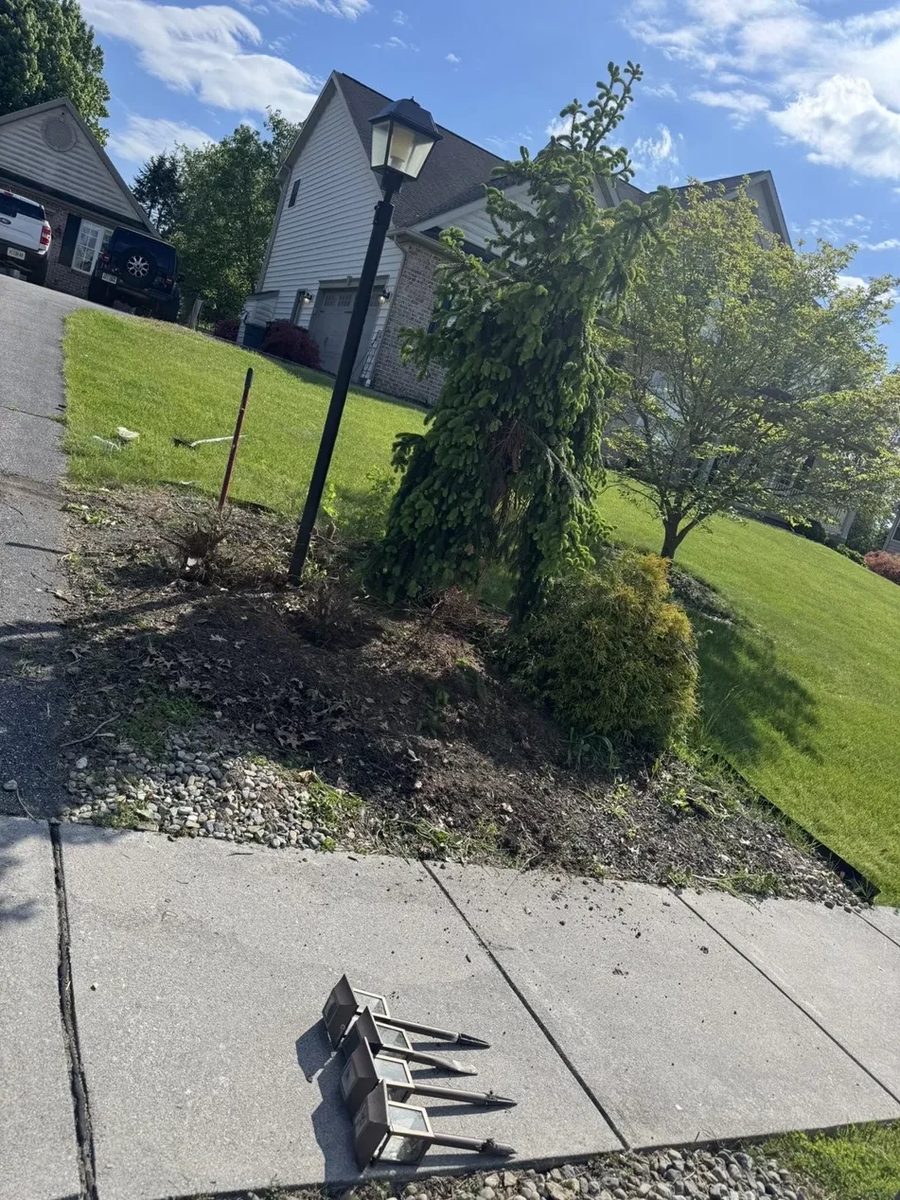 Before: overgrown, weedy bed by the sidewalk